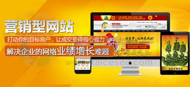 愷策網優(yōu)營銷型網站讓您的成交變得省心省力